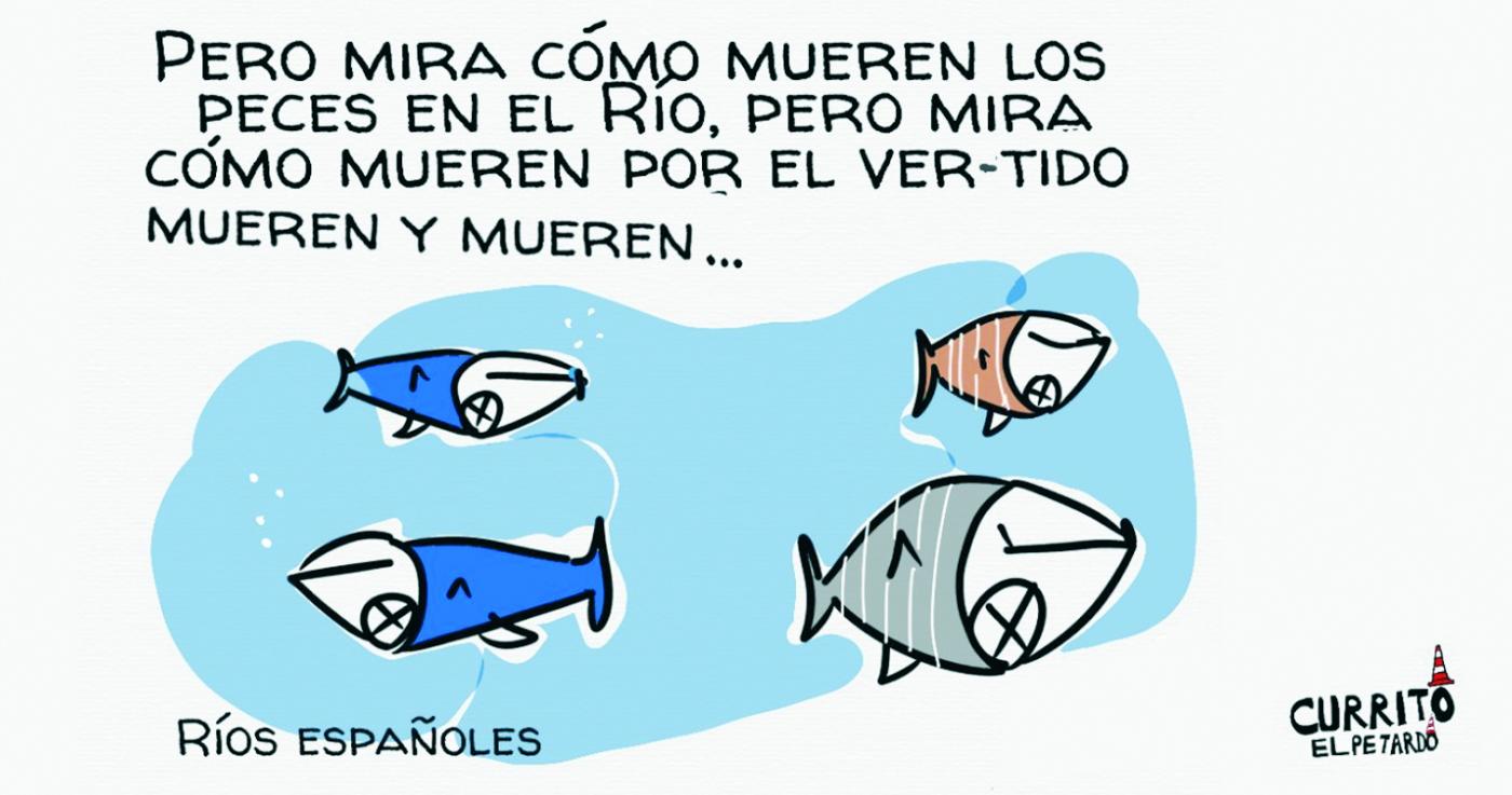 Los peces en el río. Los peces en el río.