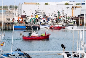 Amplio rechazo en la UE a vetar la pesca de arrastre en todas las zonas protegidas 
