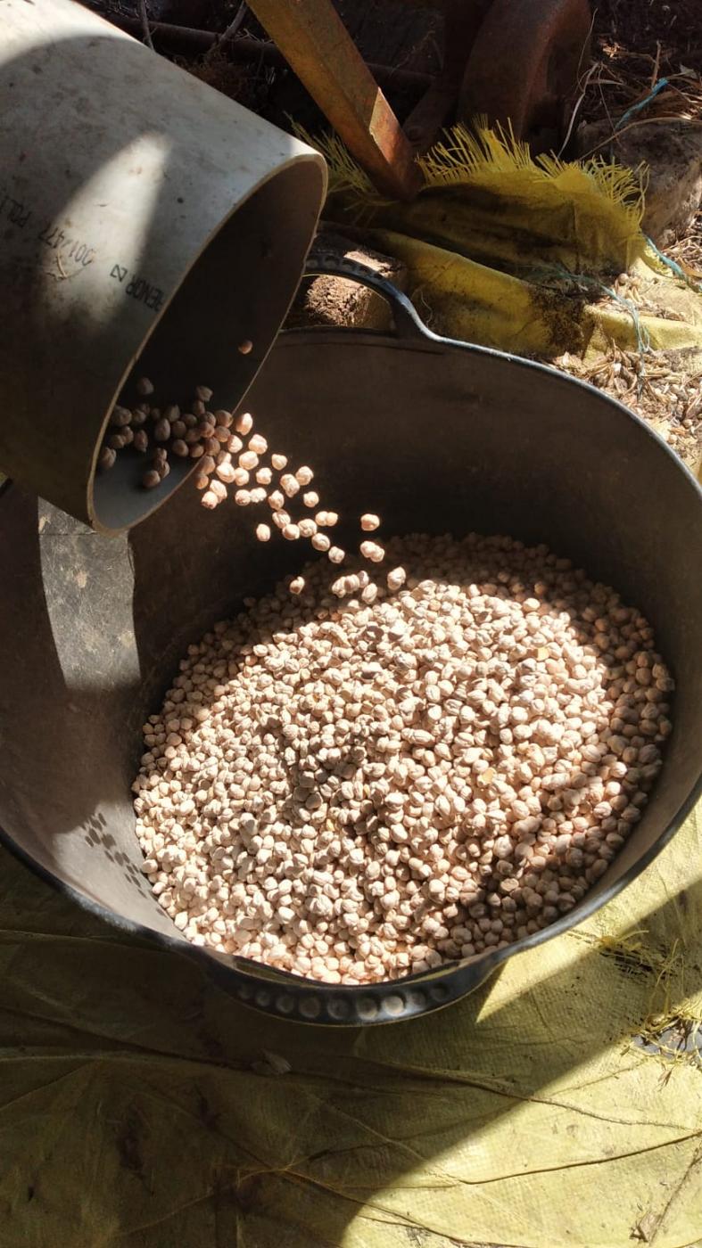 Garbanzos de Naveros. A.I.