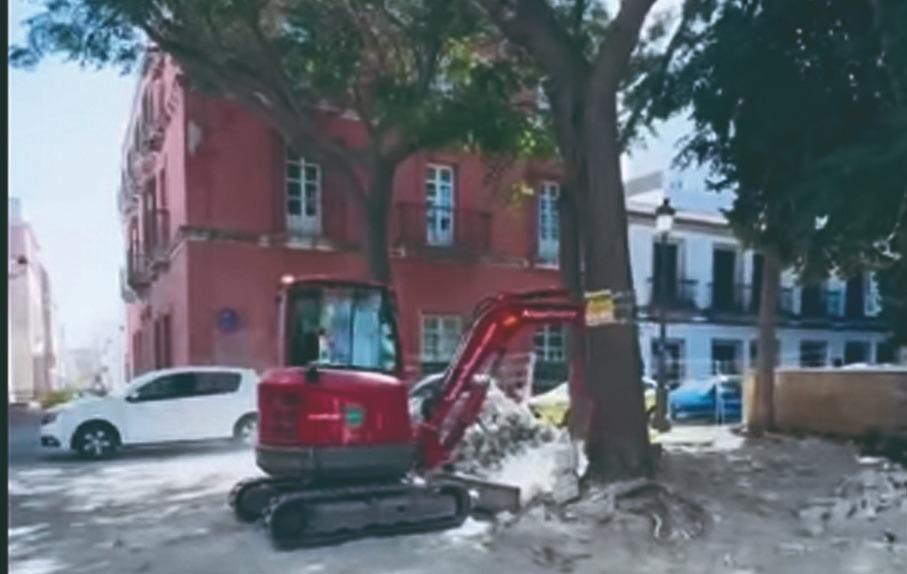 Obras.  Viva. 