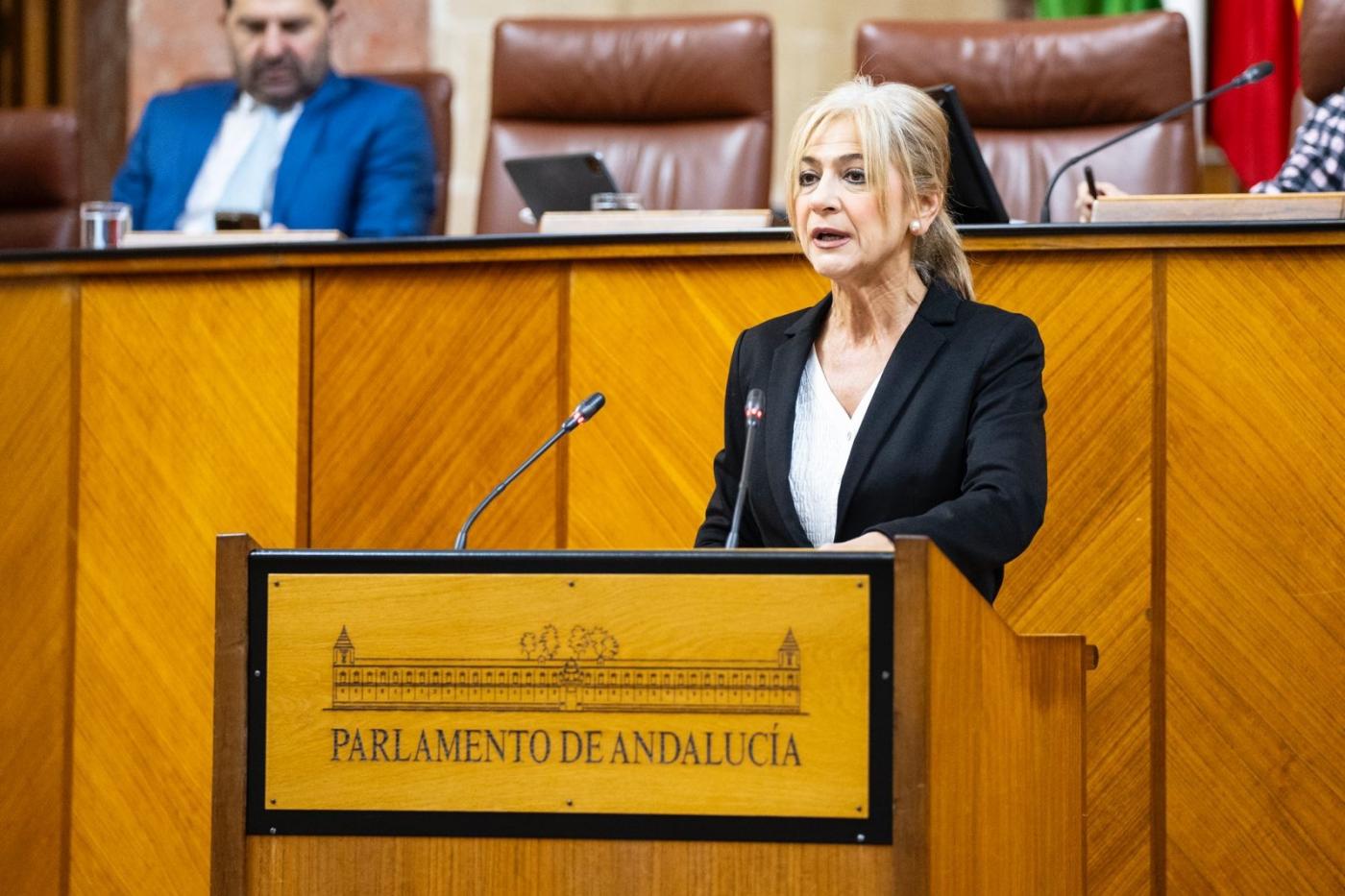 La consejera Patricia del Pozo. Joaquín Corchero/ Paralmento andaluz