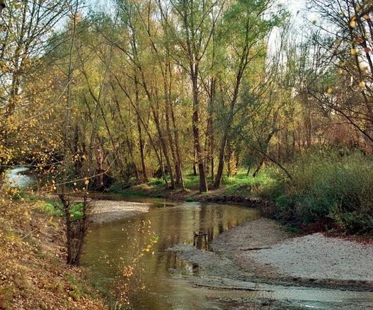 Río en la zona de Los Puentes de Jaén.  - Viva Jaén