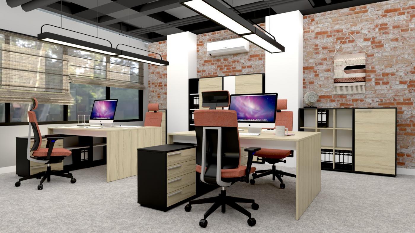 Ergonomía en la oficina. 
