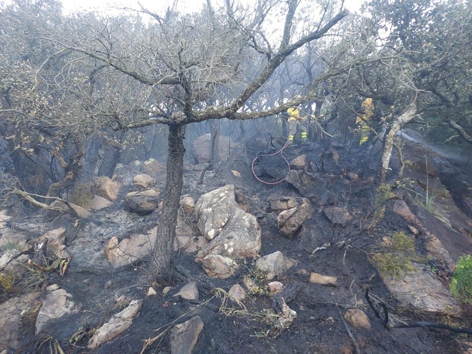 Los bomberos sofocan un incendio en la zona norte del Cuartón
