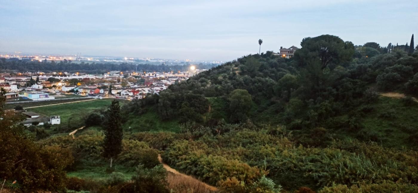 Extinguido un incendio en la ladera de Simón Verde, en el término municipal de Gelves  