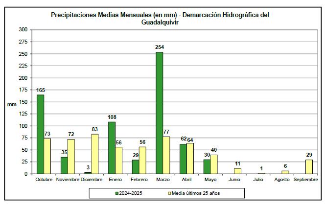 Precipitación media mensual. CHG