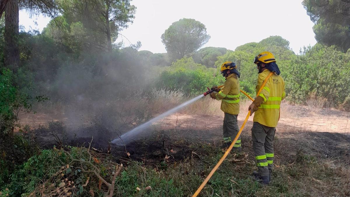 Extinguido el incendio iniciado el lunes en el paraje Dehesa de Yeguas de Puerto Real