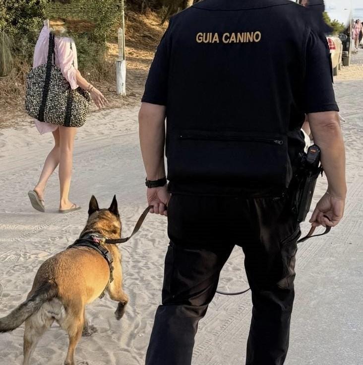 Dispositivo de seguridad. A.I.
