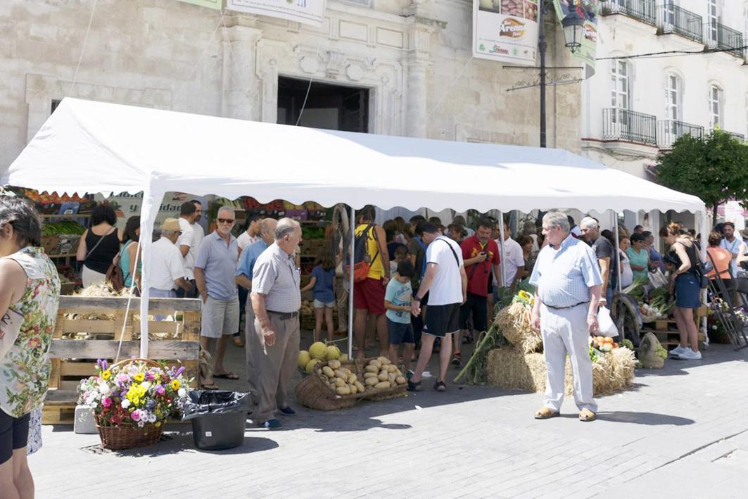 Eventos que promocionan la imagen de La Algaida en verano