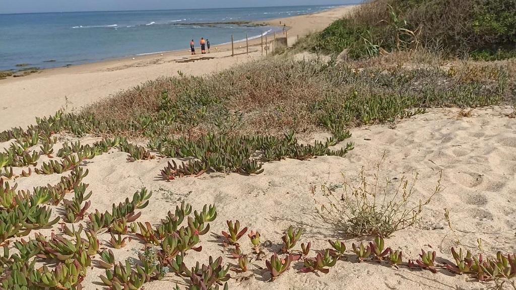 Ecologistas en Acción de Rota denuncia la ubicación de la Playa Canina en la localidad