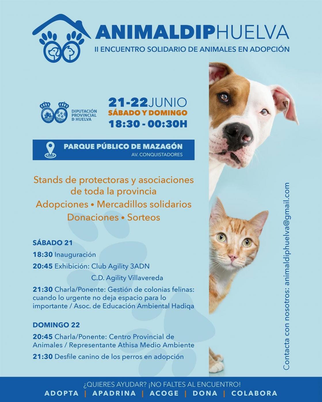 Encuentro Solidario de Animales en Adopción en Mazagón - D.P.