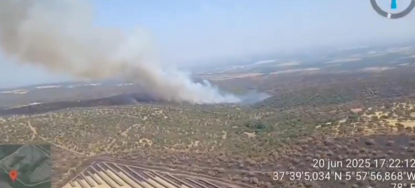 El incendio de Castilblanco afecta a pasto y arbolado disperso 