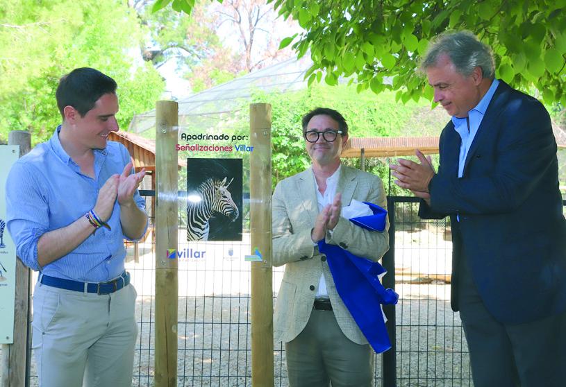 Las cebras del Zoo de Jerez mejoran su recinto gracias a un nuevo 'padrino'
