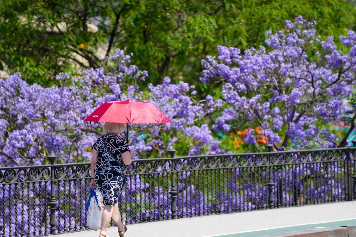 El calor regresa a Andalucía con avisos de nivel amarillo en Córdoba, Granada y Jaén