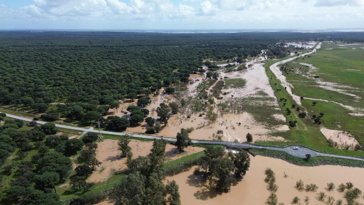 CHG invertirá 2 millones en restaurar ecosistemas fluviales de Doñana