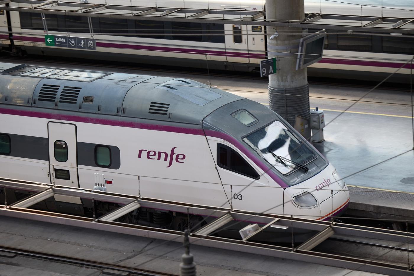 Trenes de Renfe. - Jesús Hellín / Europa Press