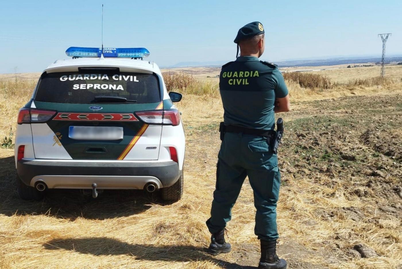 Dos detenidos y ocho investigados por explotar de forma encubierta un coto social de caza