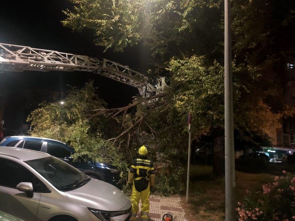 Una rama cae sobre dos coches y la acera en San José Artesano; la AVV culpa al Consistorio