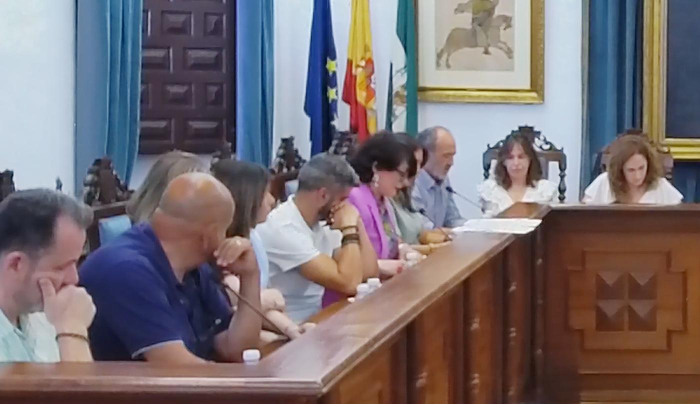 Intervención de Inés Arco, durante el último pleno municipal.  - 