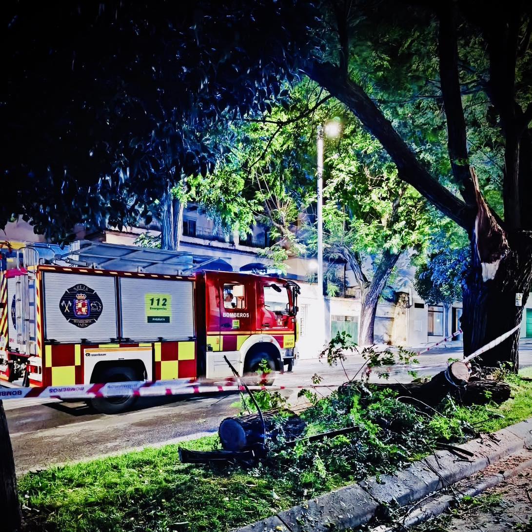 Intervención de los Bomberos por las tormentas de junio. - Bomberos de Jaén.