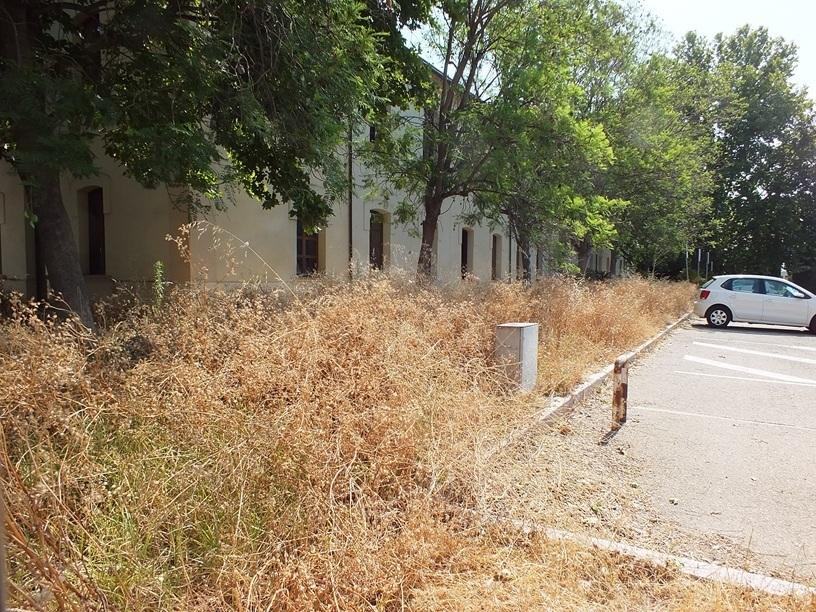 Vecinos de Ciudad Jardín reclaman a la Gerencia de Urbanismo que limpie su propio entorno