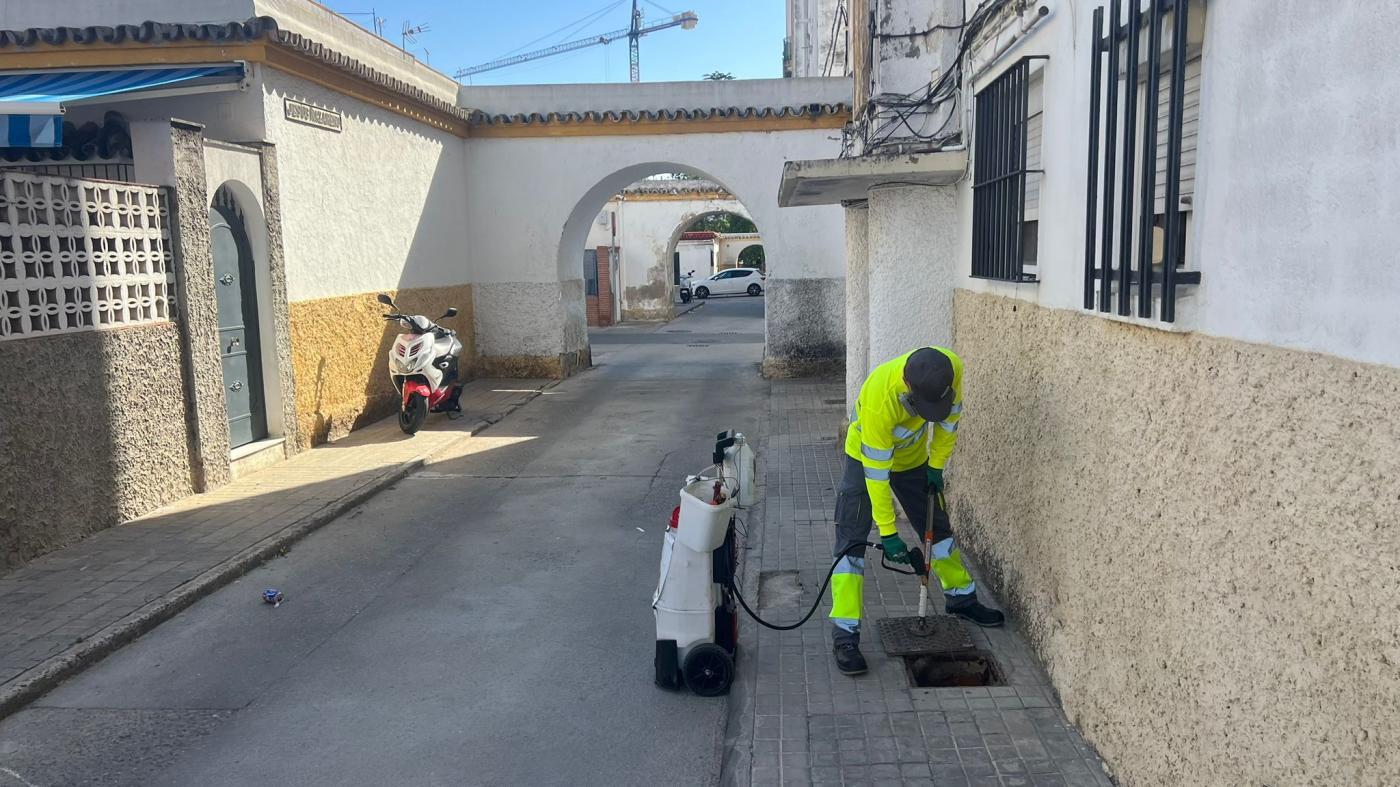 Intensifican los trabajos de desratización y desinsectación en La Plata
