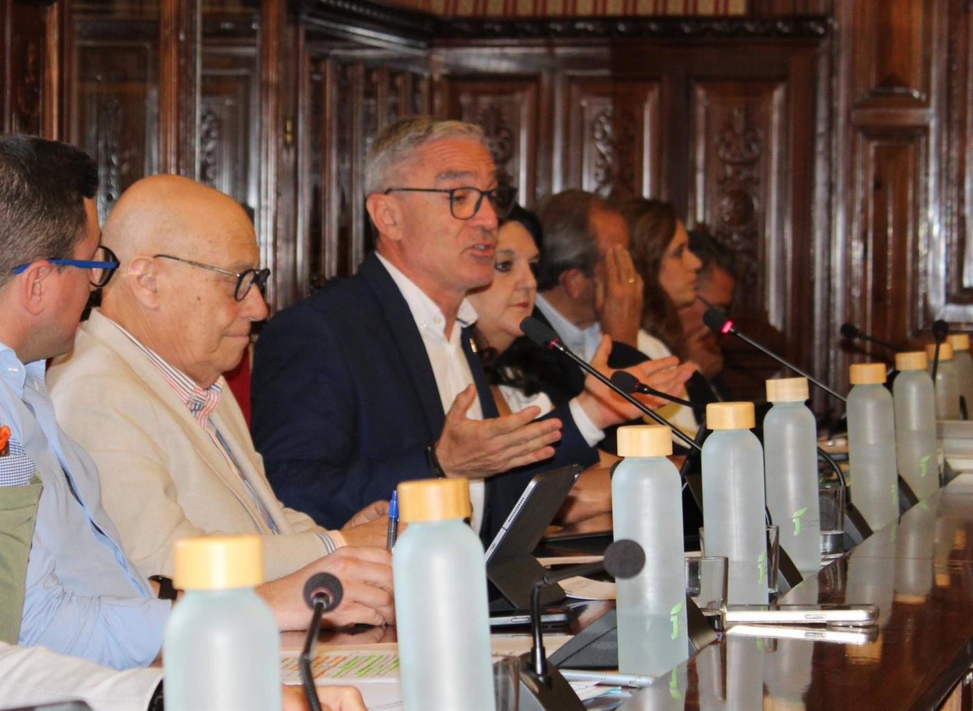 Luis Mariano Camacho (PP) interviniendo en el pleno de Diputación. - PP