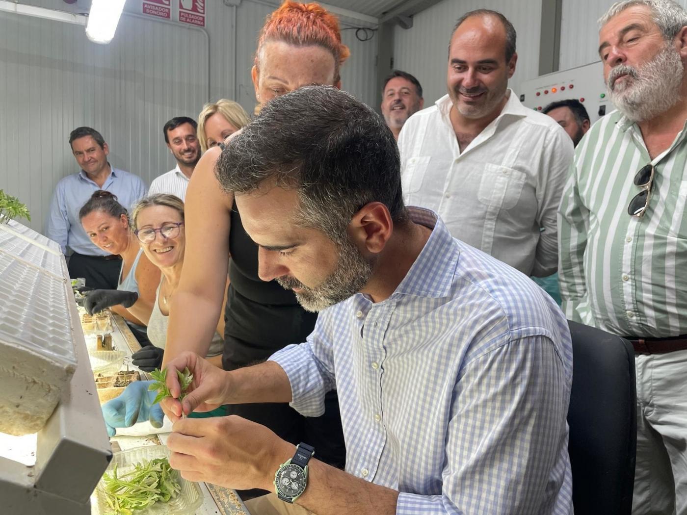 La Junta respalda la innovación agrícola en Conil con ayudas y mejoras en regadío