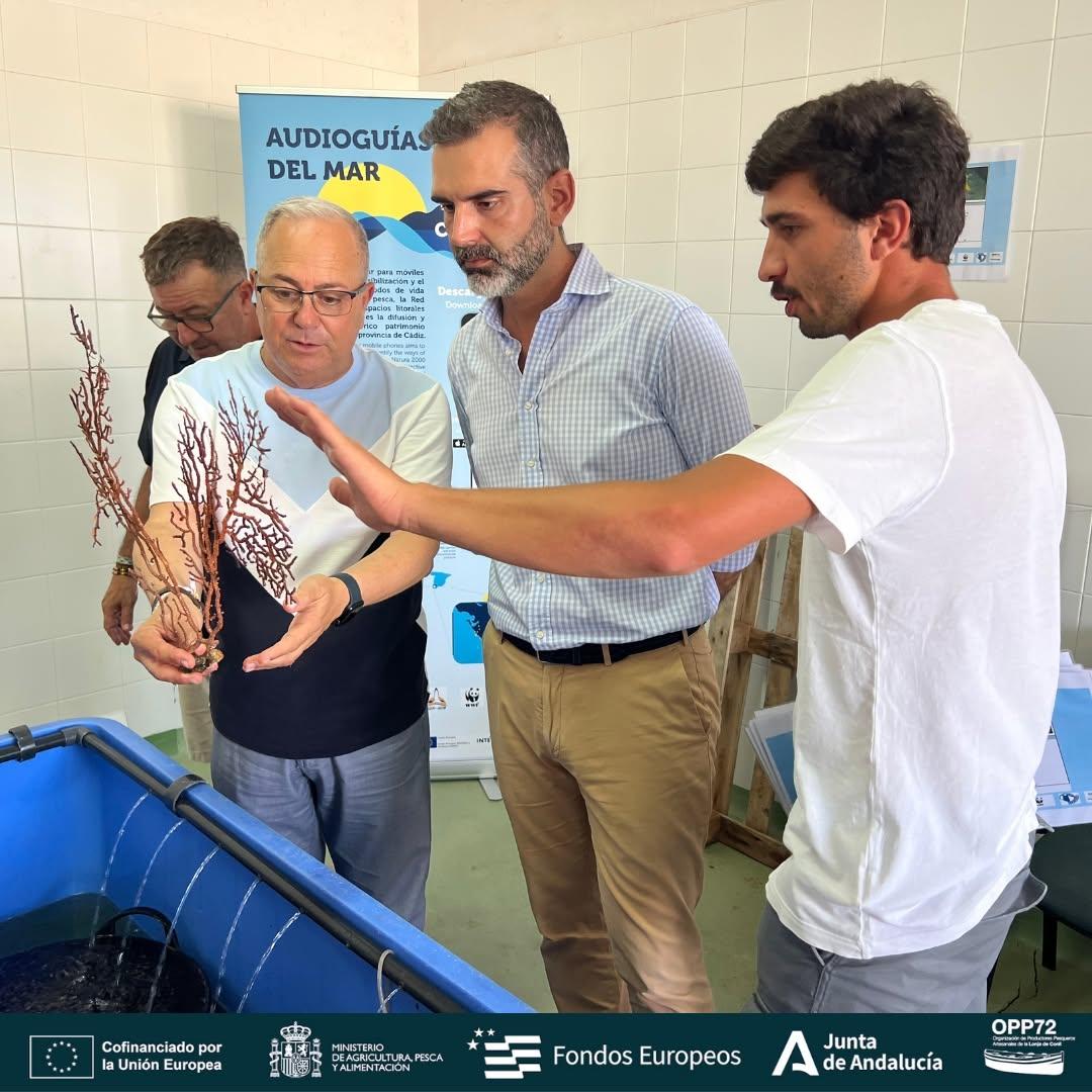 Pesca artesanal para el futuro: la Junta defiende su valor social y económico en Conil  