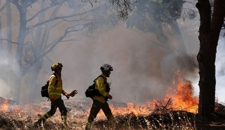 PP pide limpieza urgente de pinares y suelos privados para evitar incendios en Chiclana