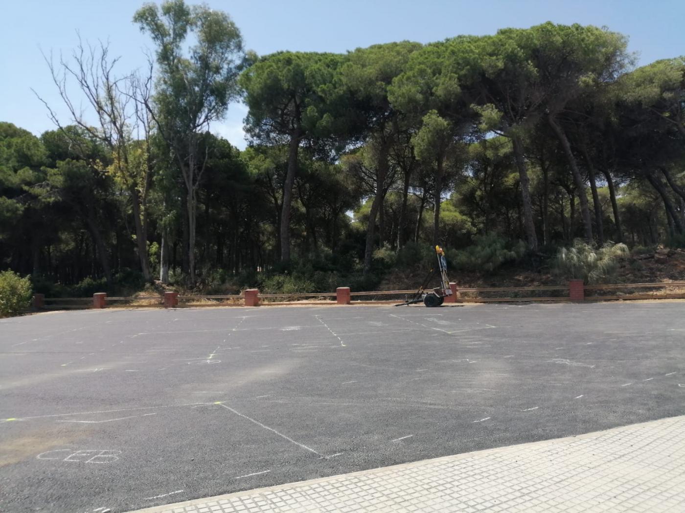 Ecologistas denuncian que el ayuntamiento 