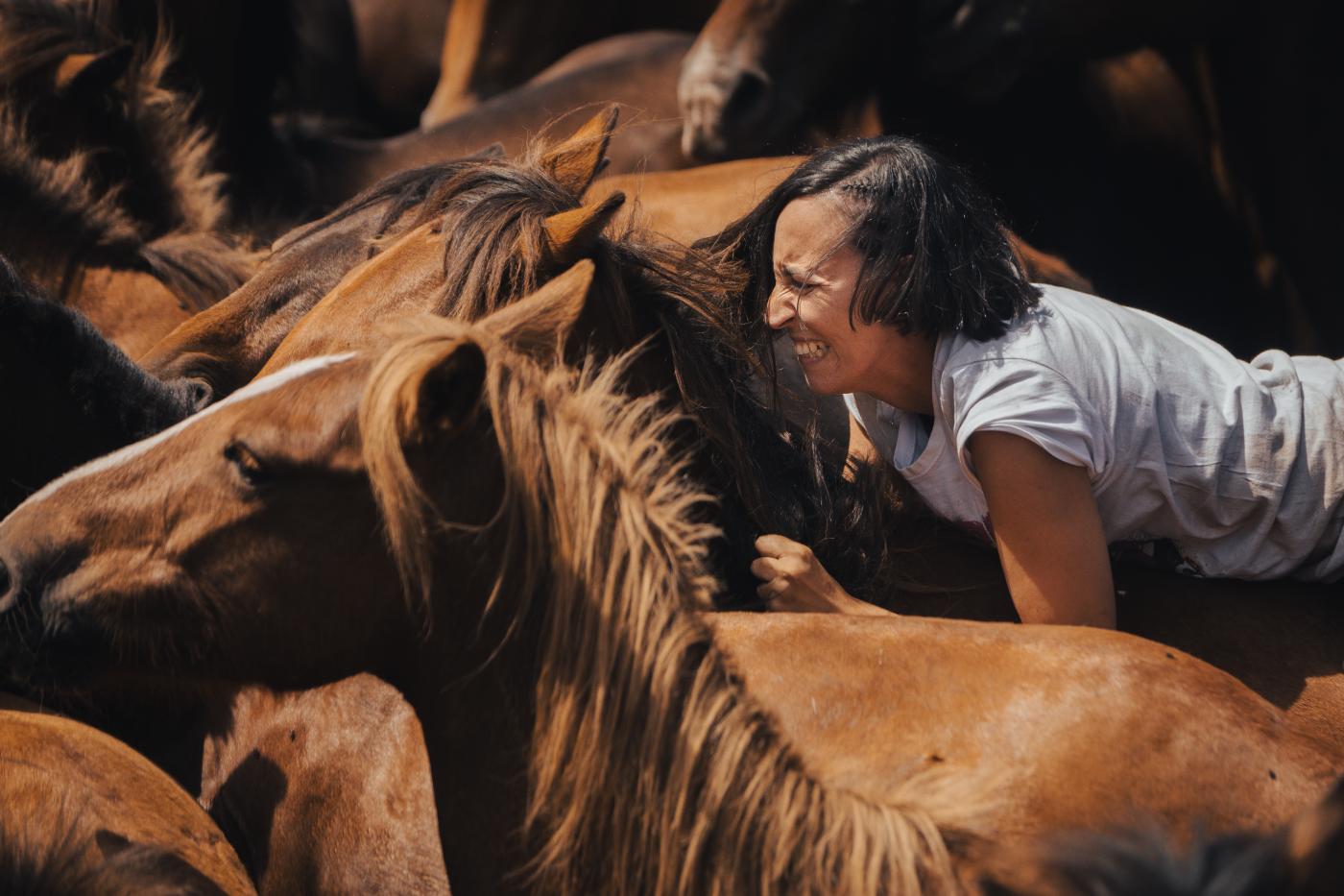 La Rapa das Bestas de Sabucedo ya es Bien de Interés Cultural