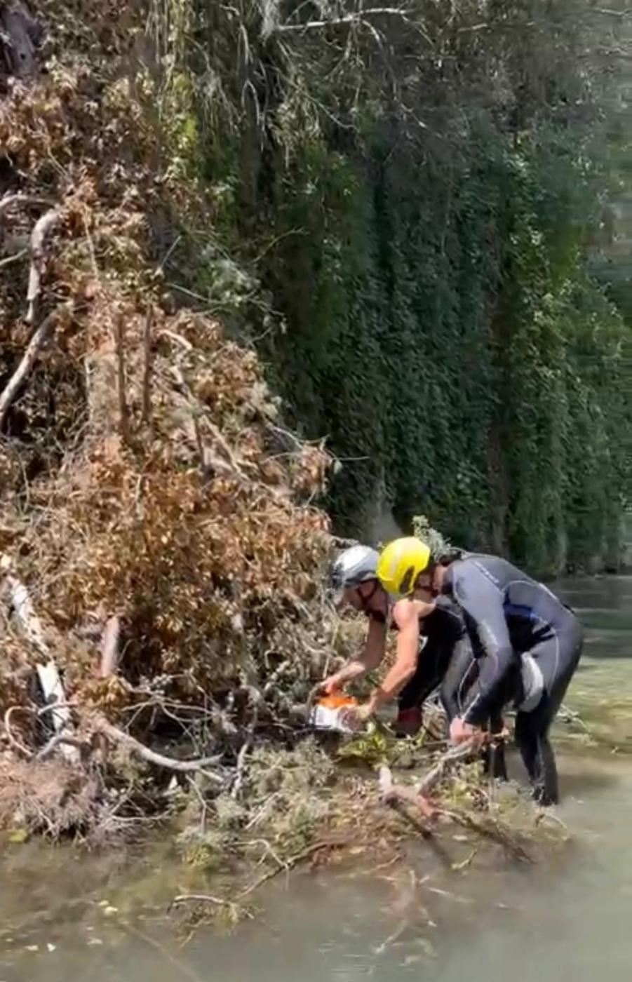 Retirada del árbol. - Foto: Ayuntamiento.