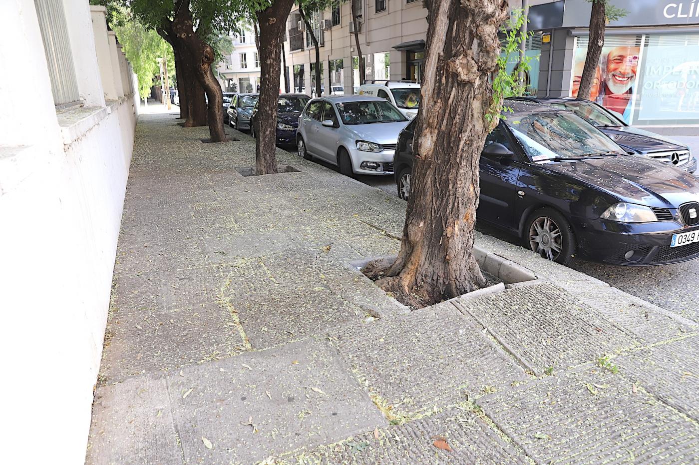 Próxima renovación del acerado de la calle Santo Domingo
