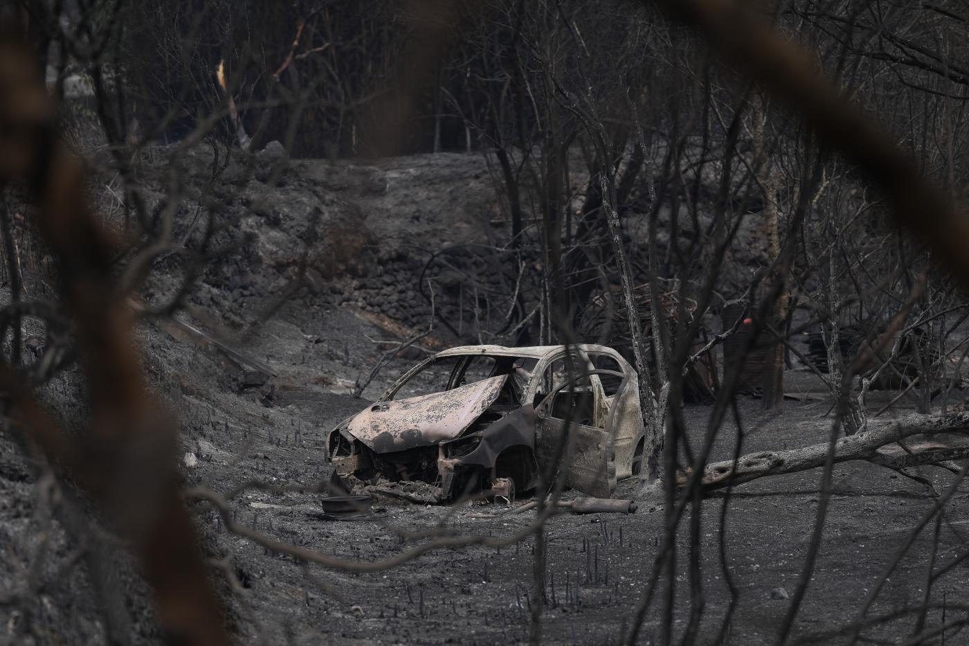 Bomberos no prevén estabilizar el incendio de Tarragona hasta la noche