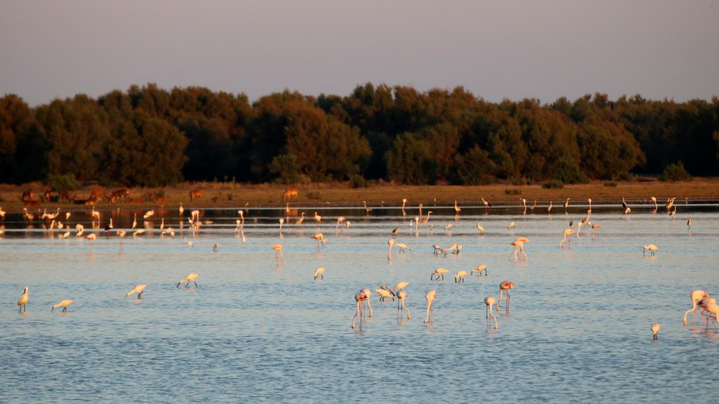 Los ayuntamientos reciben el segundo pago de 35 millones recogido en el Acuerdo por Doñana