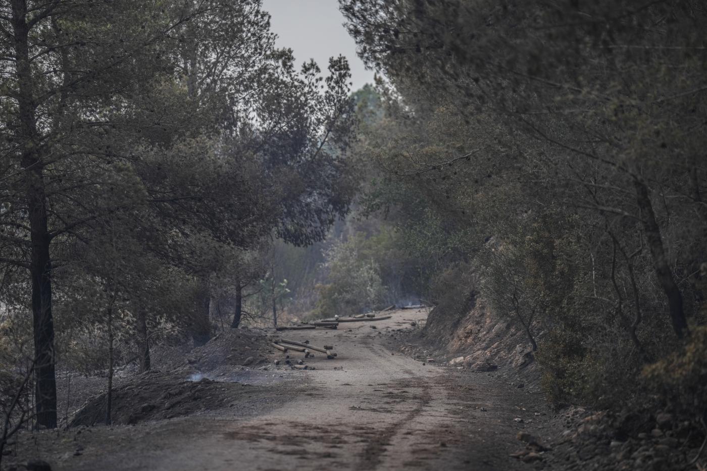 Restos del incendio de Paüls en la carretera de Aldover. - EP