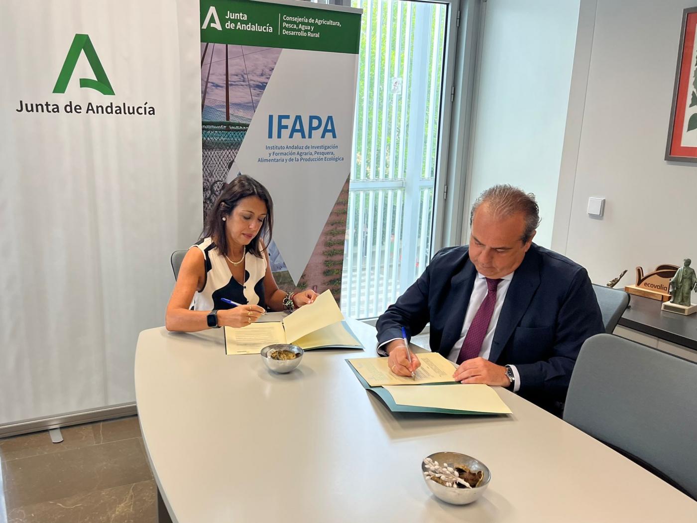 El IFAPA y ASEMESA colaboran para impulsar el sector de la aceituna de mesa