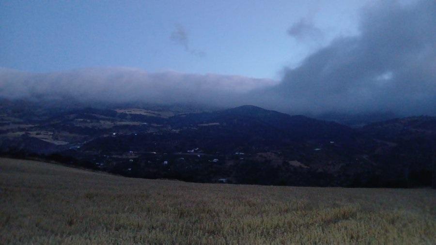 Estabilizado el incendio forestal declarado en Málaga