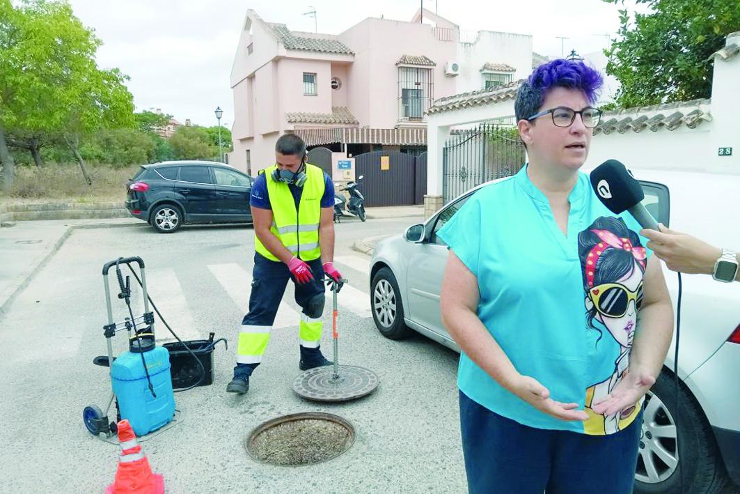 Trabajos de desinsectación, desratización y desinfección en la ciudad