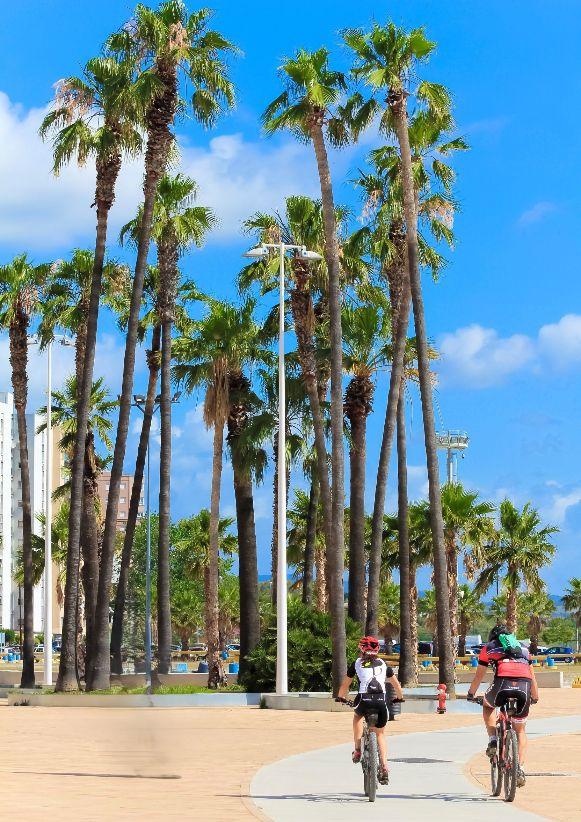 APBA saca a licitación la fase 3 del Lago Marítimo por 2 millones de euros