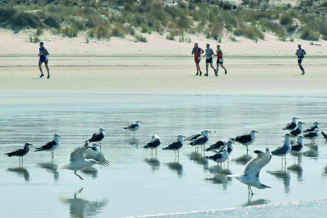 IU lamenta que la Junta no contara con el Consistorio para el Desafío                     