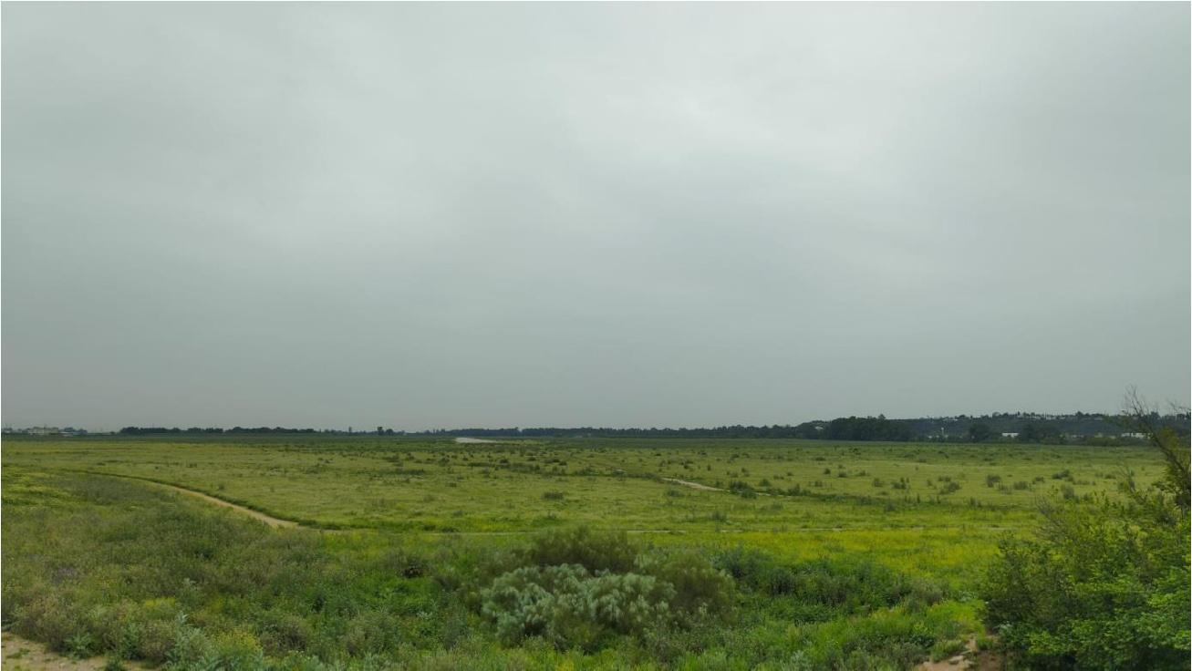 La Mesa por Tablada propone crear un consorcio público para abrir el parque en 2030