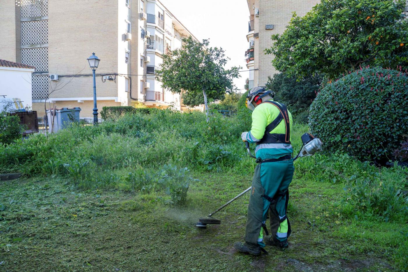 Mairena refuerza su servicio de jardinería con una inversión de más de 900.000 euros   
