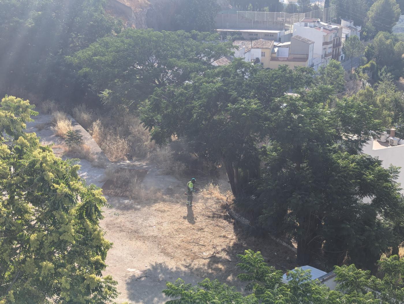 Desbroce del solar junto al Centro de Salud. - Ayuntamiento.