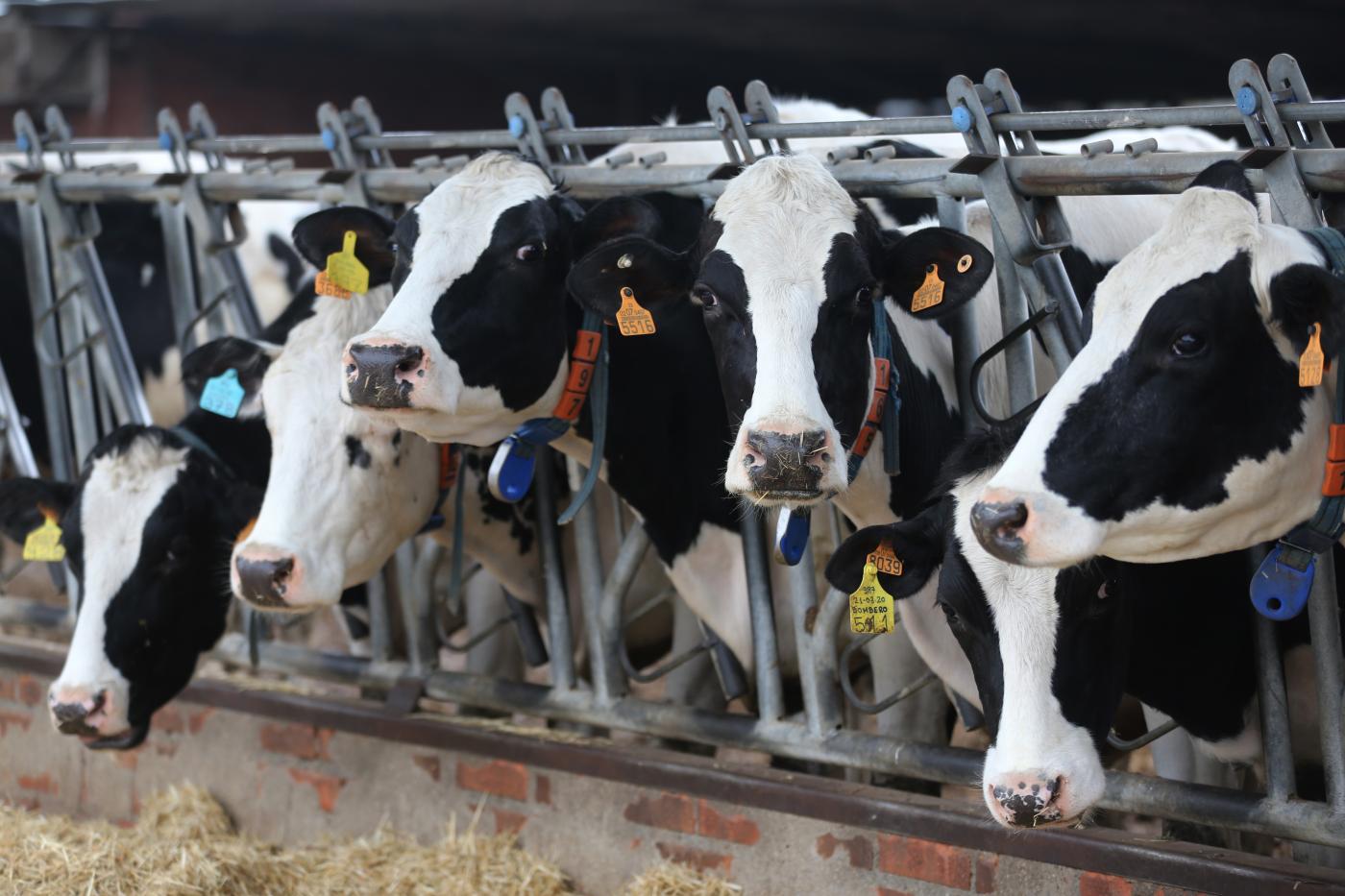 Las organizaciones agrarias rechazan 