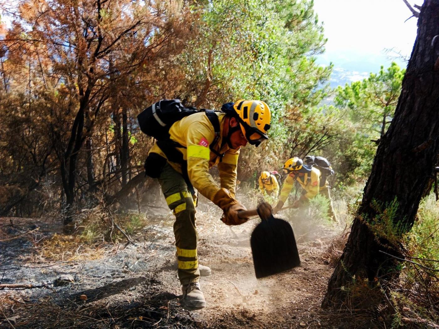 Controlado ya el incendio forestal declarado en un paraje de Gibraleón
