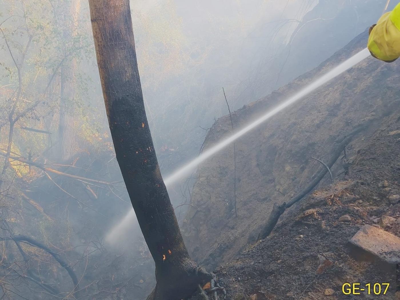 Extinguido el conato de fuego forestal declarado en el paraje de Aguas Blancas de Dúdar