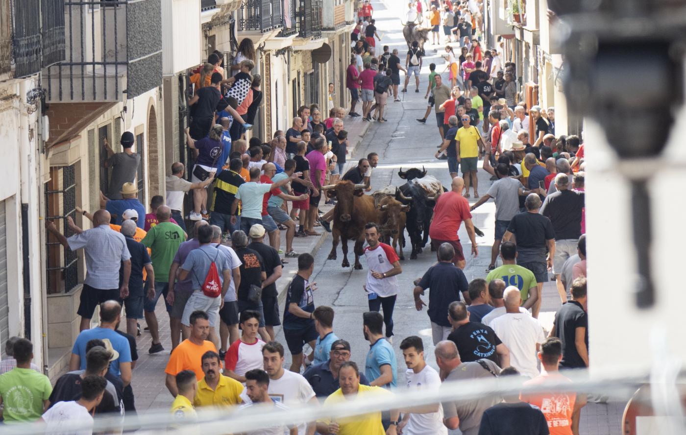 Festejo de 'bous al carrer'. - Europa Press.