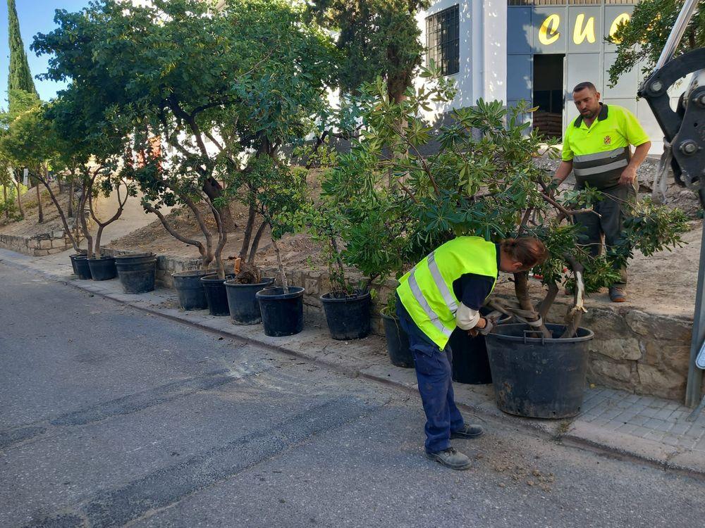 Trabajos del PFEA en Jaén capital. - Ayuntamiento de Jaén.
